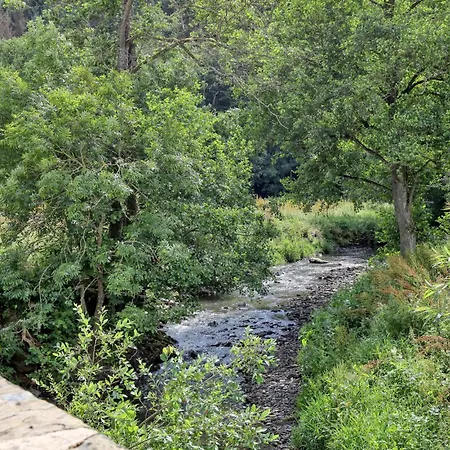 1 Bedroom Lovely In Apartment *