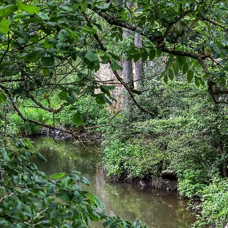 Apartment 1 Bedroom Lovely In