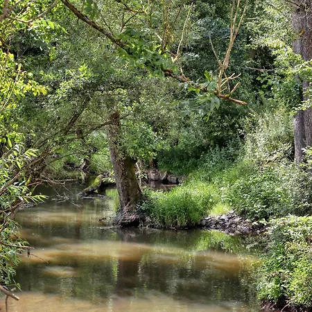 Apartment 1 Bedroom Lovely In Irrhausen