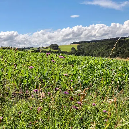 Apartment 1 Bedroom Lovely In