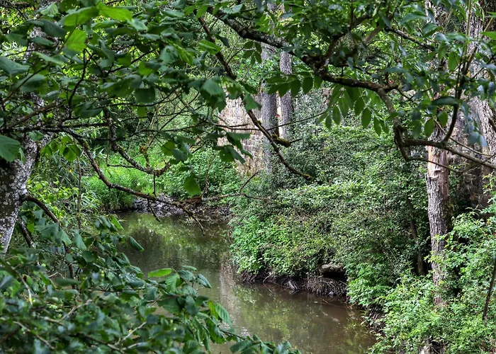 アパート 1 Bedroom Lovely In