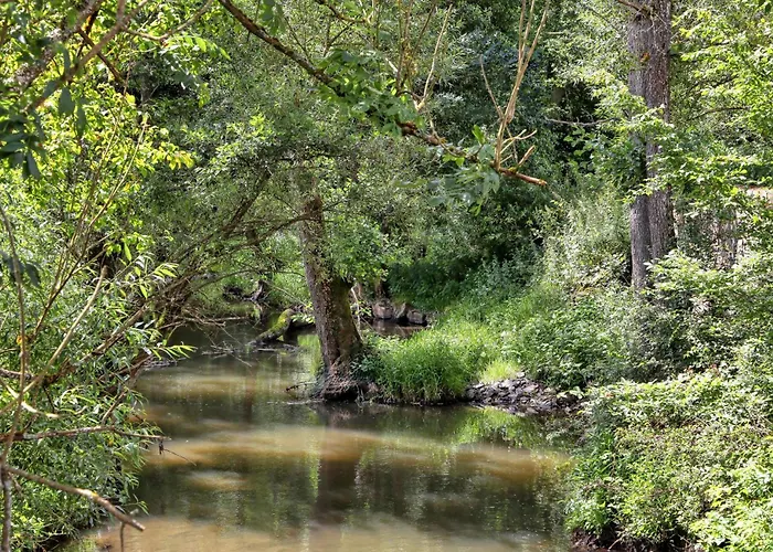 アパート 1 Bedroom Lovely In Irrhausen