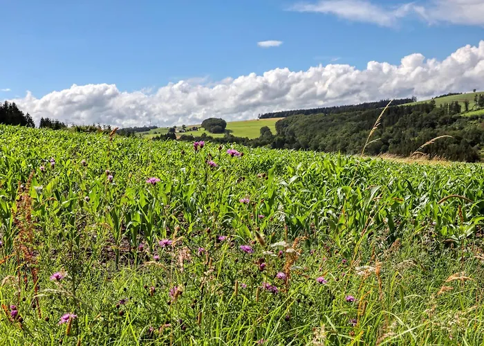 アパート 1 Bedroom Lovely In